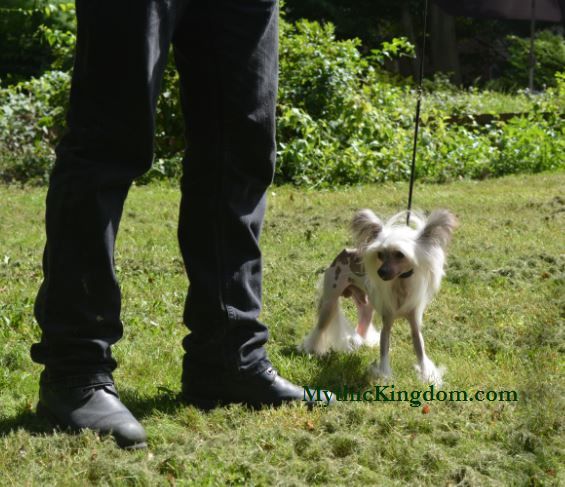 Epic's Tiny Bit Of Magic At Mythic