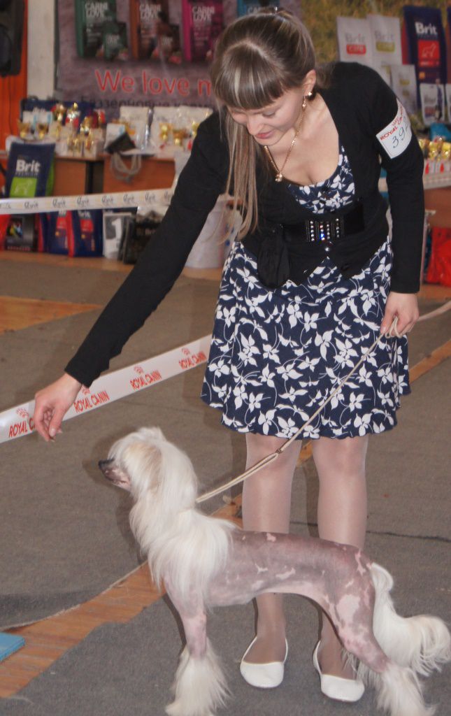 Karnelius La Rochelle