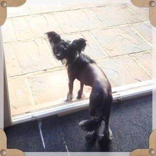 Doucai's La Vie Est Belle