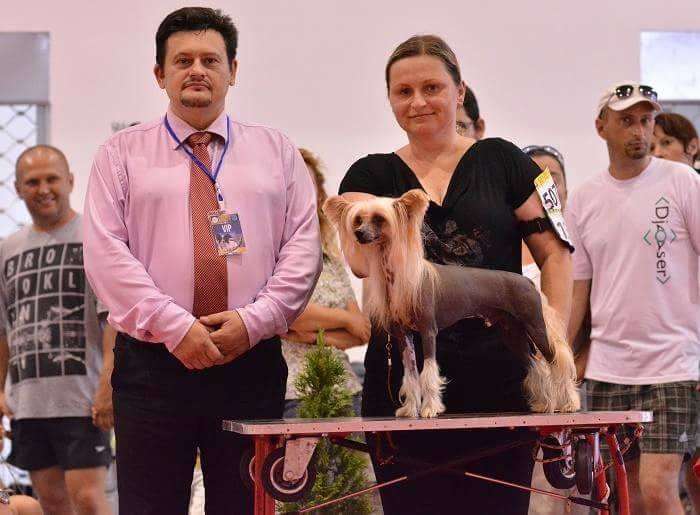 Bravo ze Zatopené chajdy