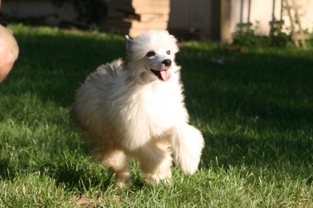 Whispering Lane If You Got It, Flaunt It