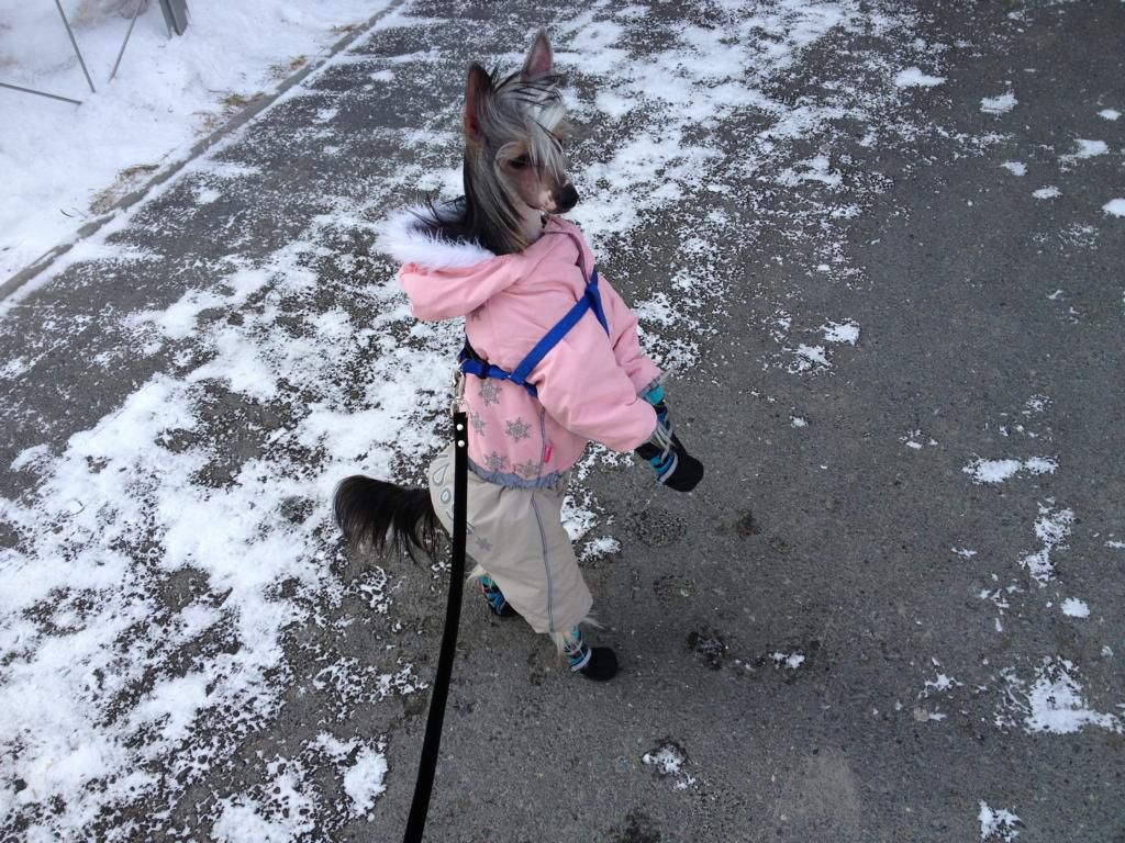 Nyu Art Vila La Vita