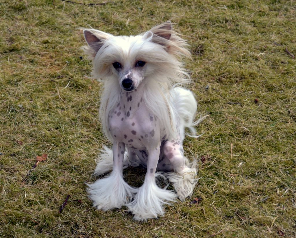 Finlandia Artagasamazis