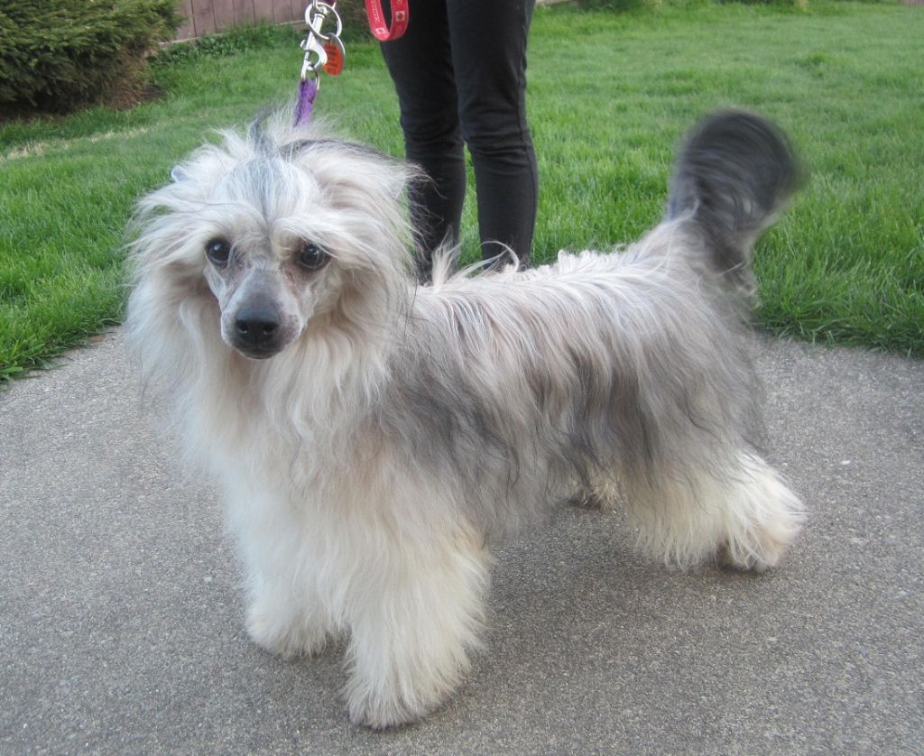 Diamonds Ready To Rock N Roll