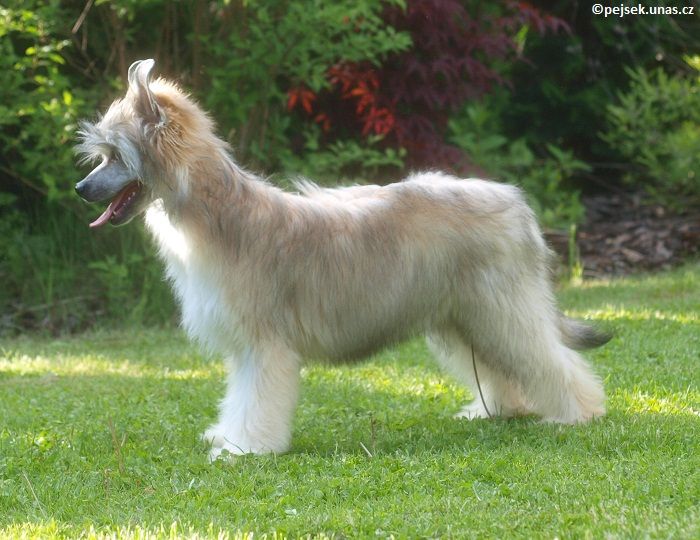 Beauty ze Zatopené chajdy