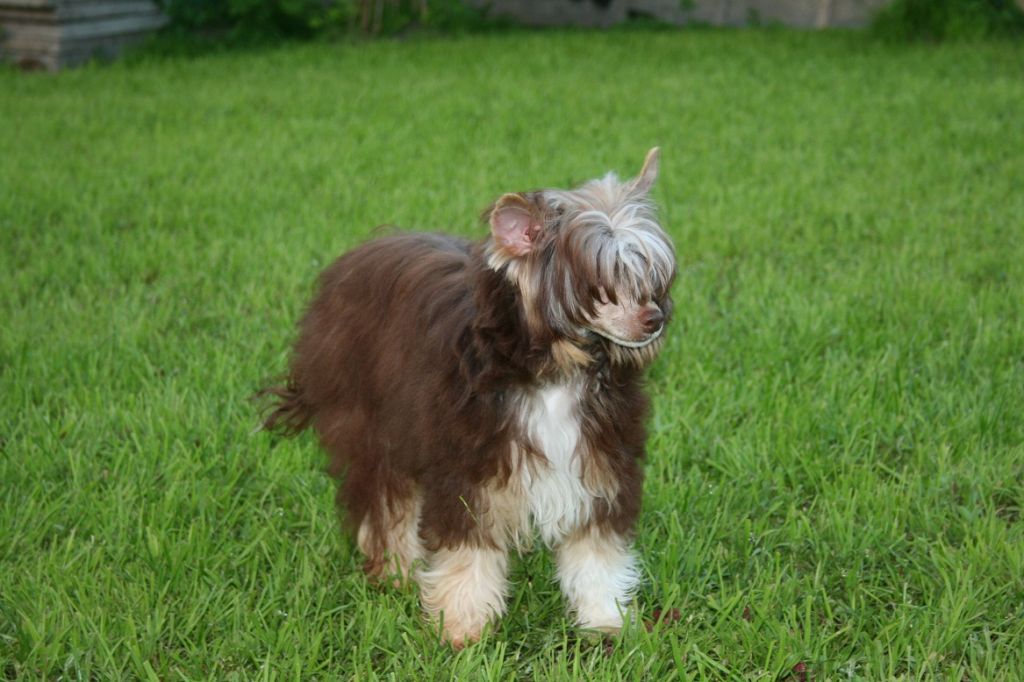 Bella Konstanta Obsession   style