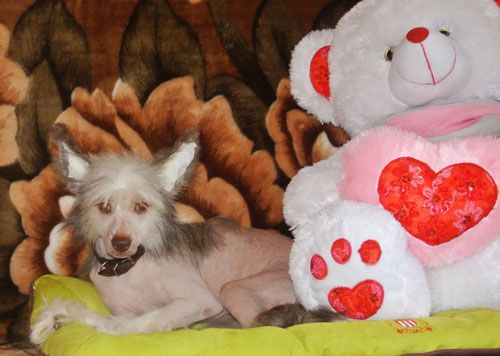 Vkus Raya Milashka Baunty