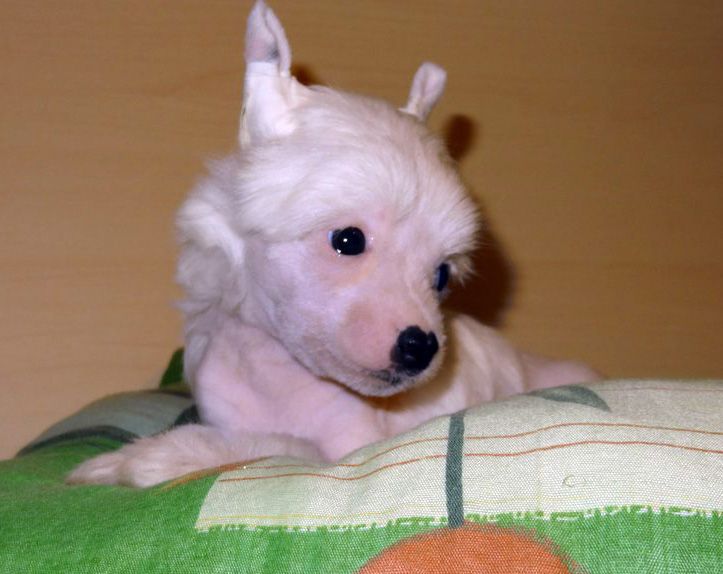 Futureline Felicie J