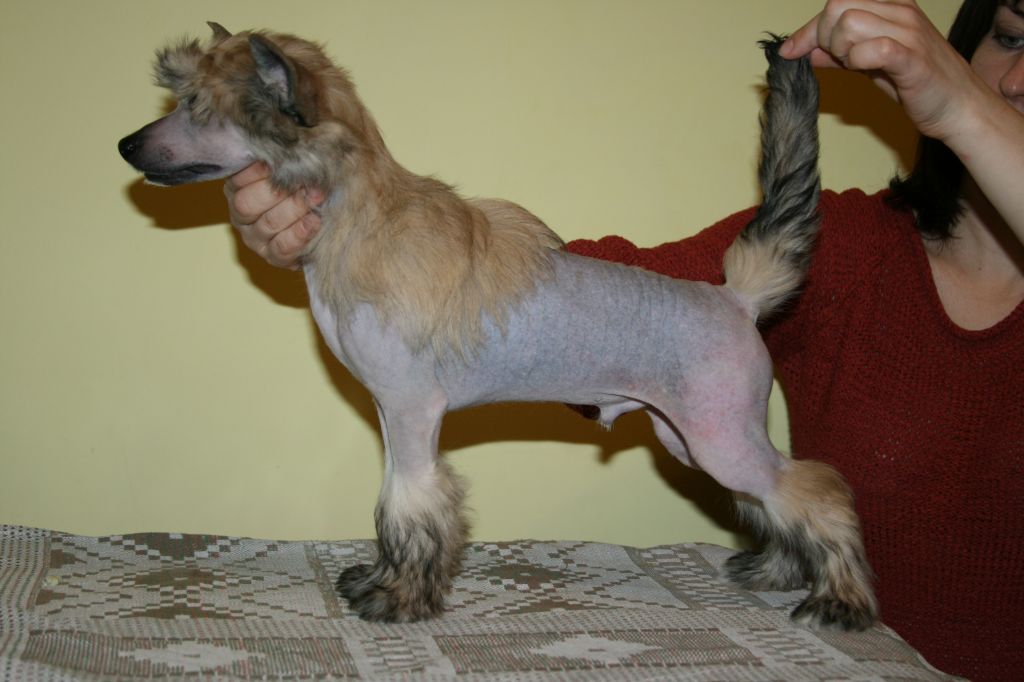 Amazing Angel Eyes Double Whisky