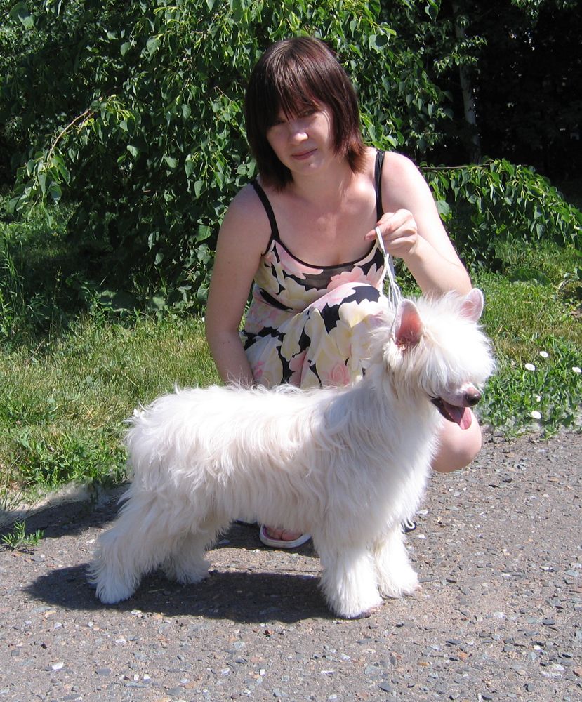 El Gang Romantic Rainbow