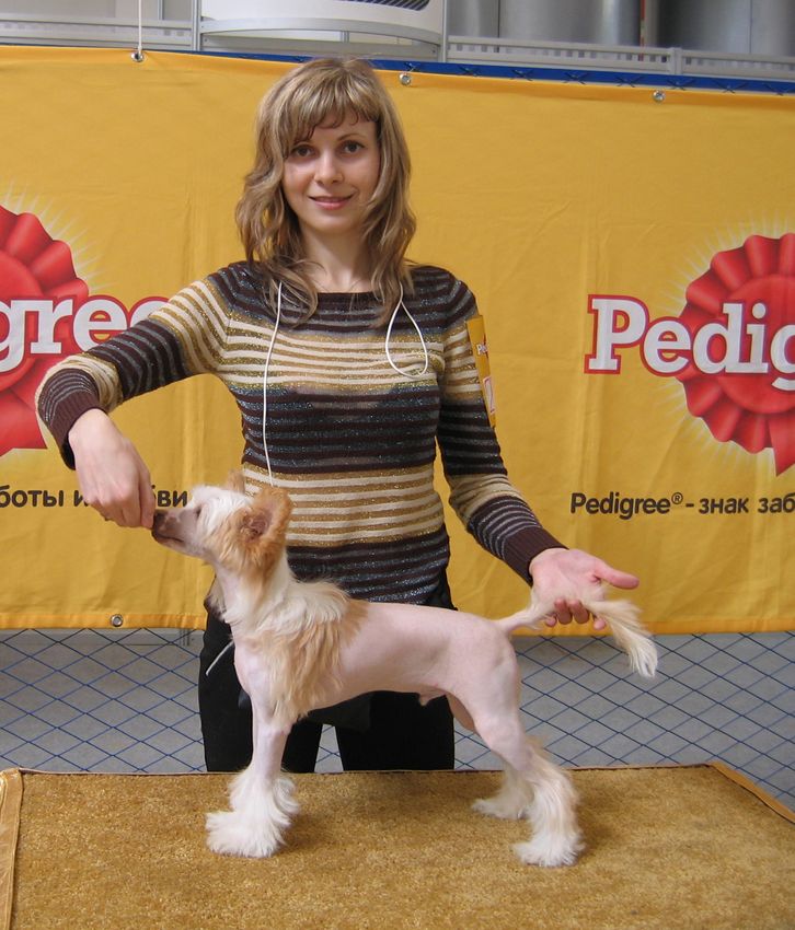 El Gang Rendezvous Delight