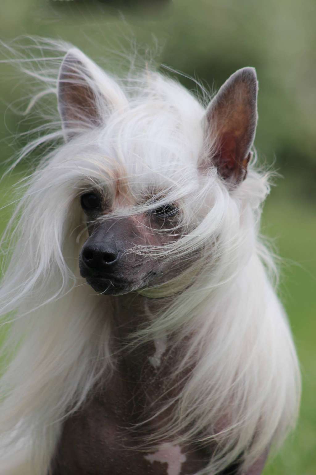 Wind North By Norwest