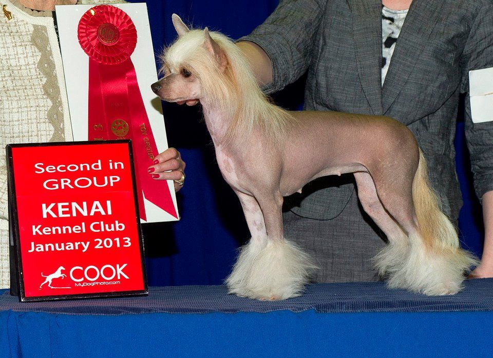 Destiny's Passionate KIsses