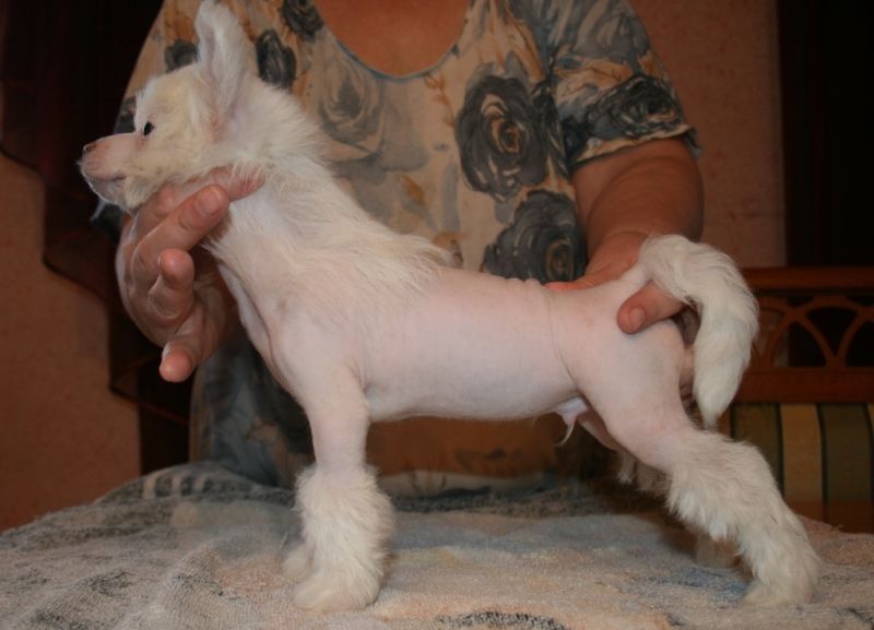 Sky Miracle Je Vous Aime