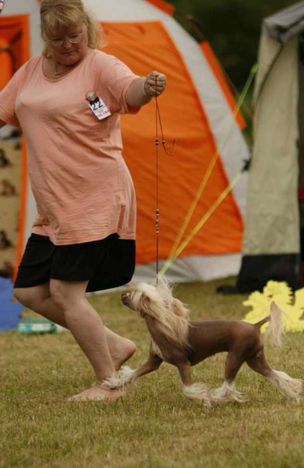 Tournais Red Headed Stepdaughter