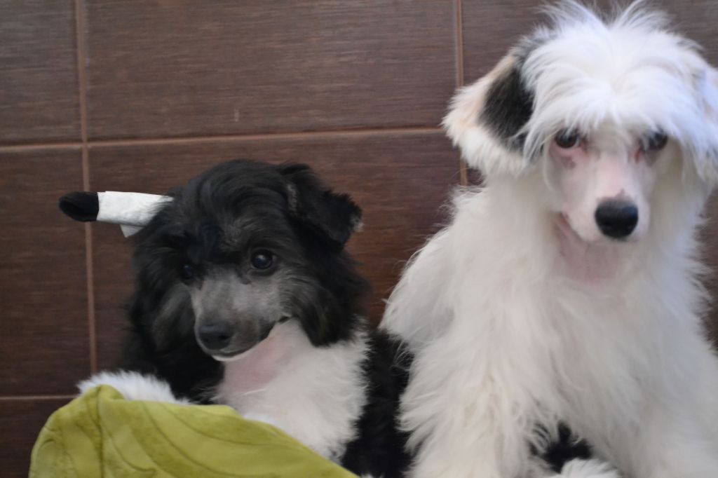 Landkris Claire Austin