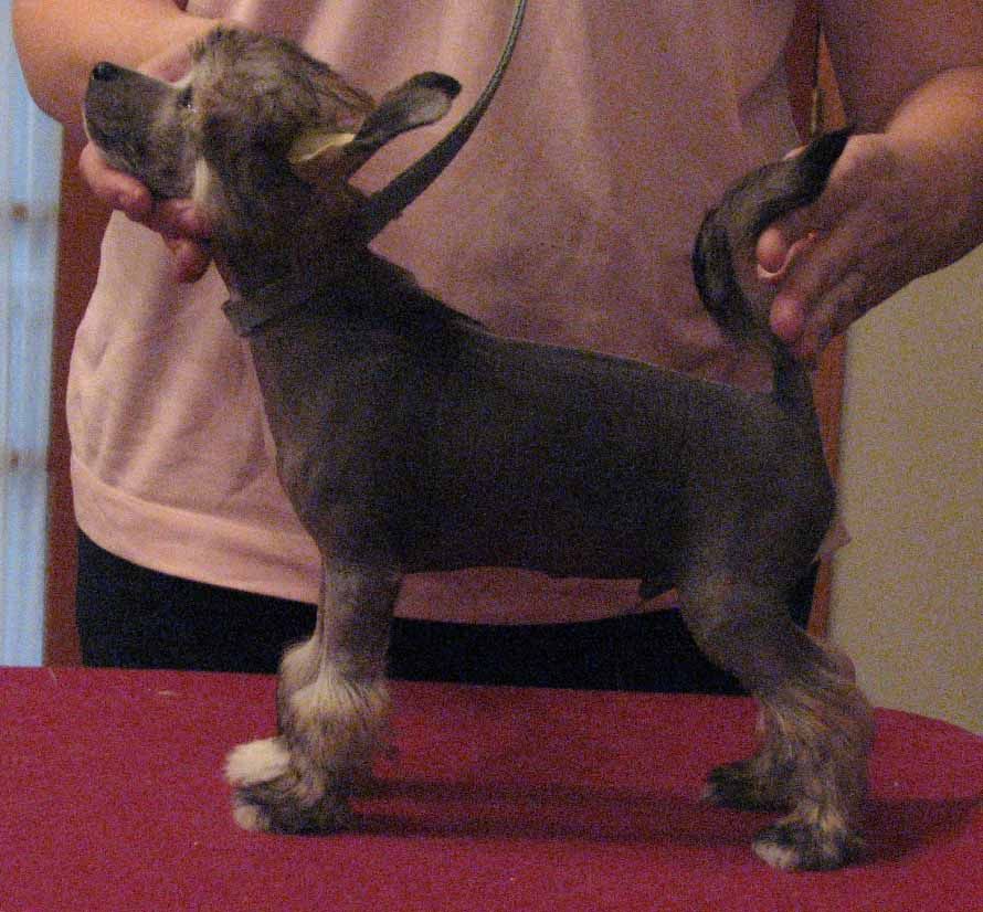 Crest-Vue Turn The Page