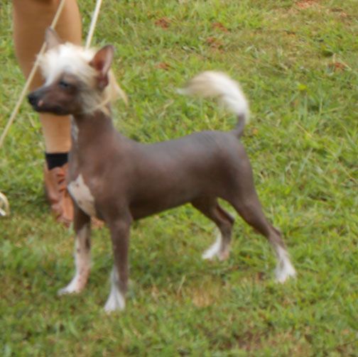 Blanchos petit girl at Raffdian