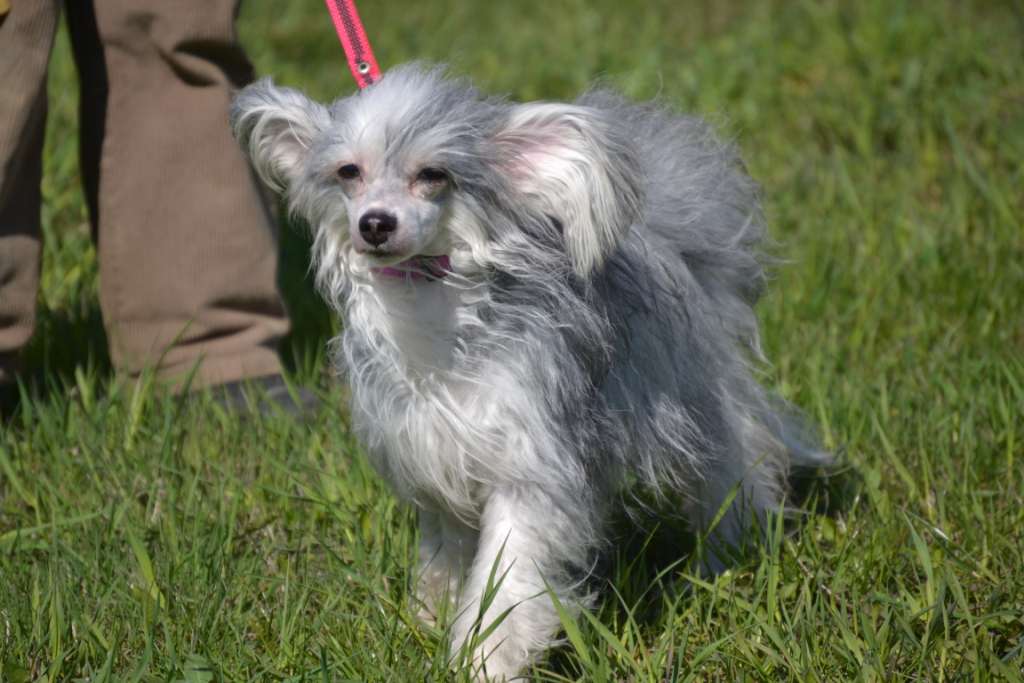 Ofeliya Koroleva Nochi