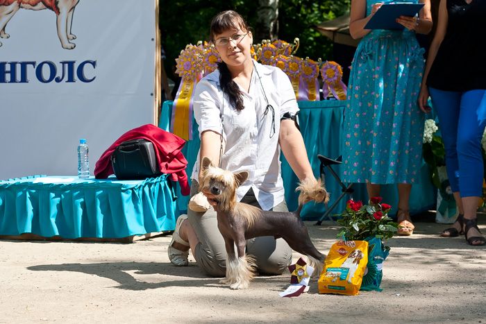 Status Imperial Game no Rules