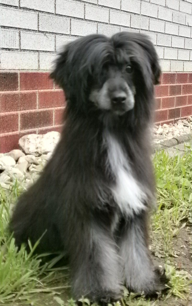 Barneby of mystic Star