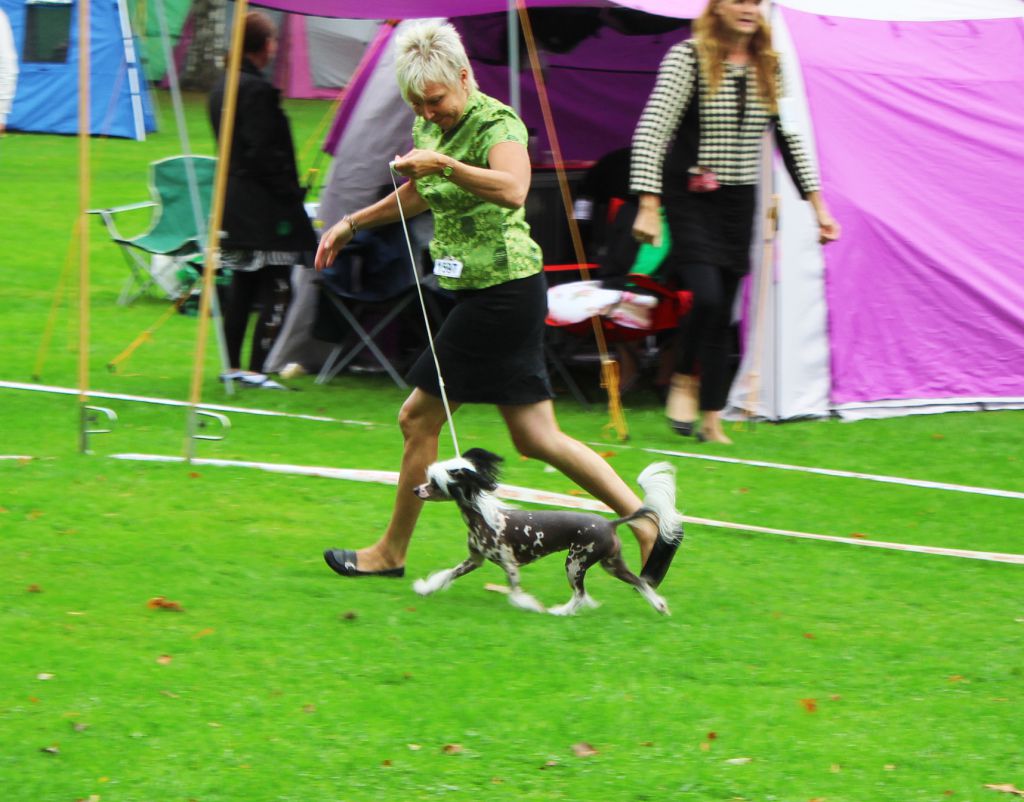 Sirocco Gaze Upon Penumbra