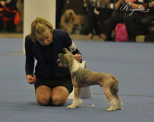 Kaitlin Daniels Jack