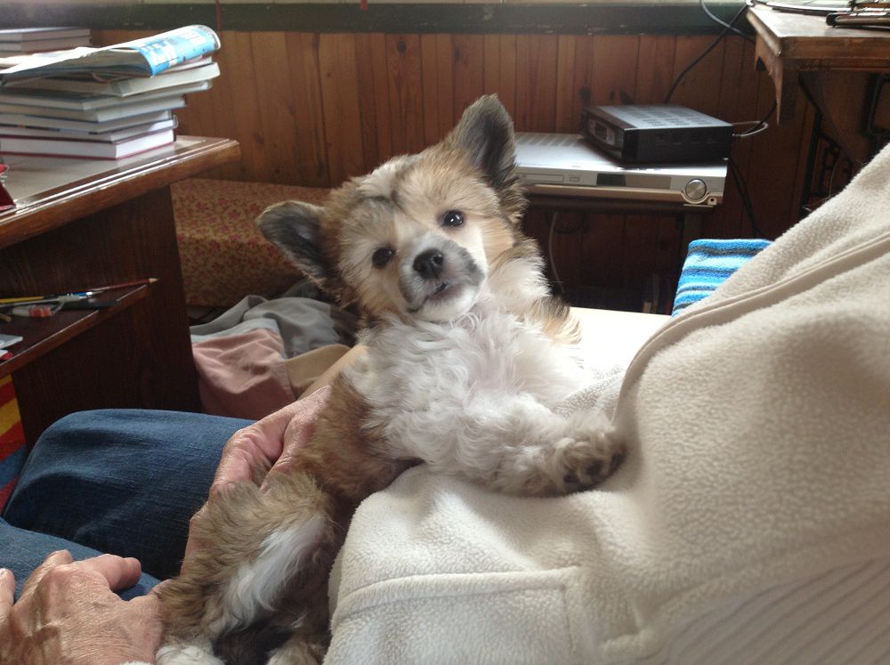 Fatima z Pulnocního dvora