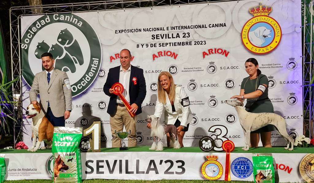 Multi Ch.- Grand Ch.- Veteran Ww 2022-Multi Bis Ve