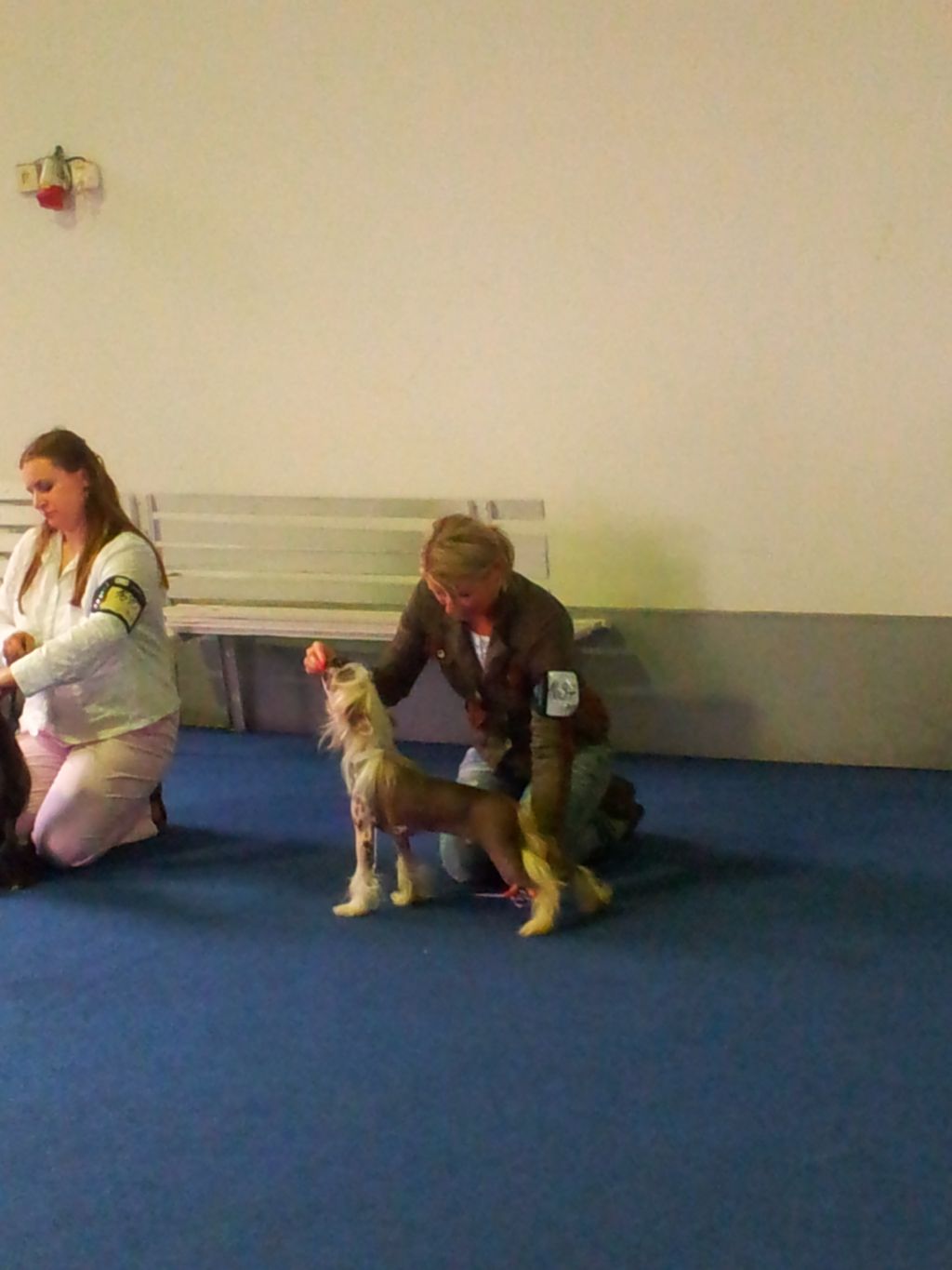 AKIM z Valdorfskych lesu