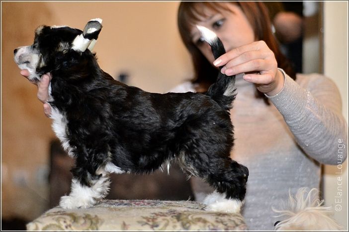 Elance Louange Extraordinary Luck