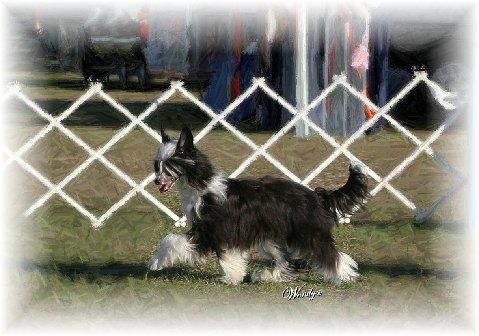 Applelou In the Garden of Good and Evil
