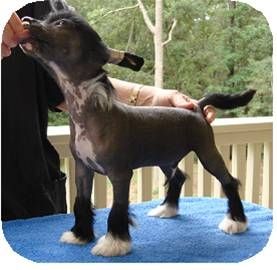 Applelou Naked in the Moonlight