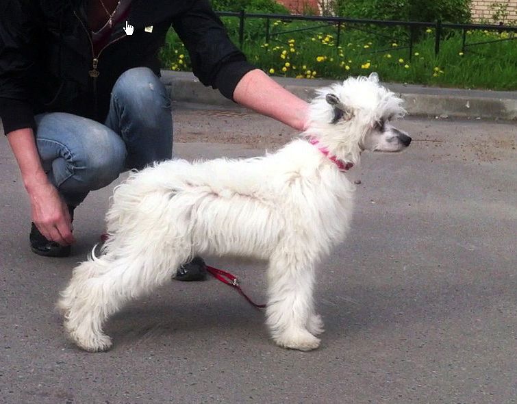 Futureline Felicie Calvin Klein