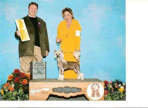 Edelweiss Pink Panther by Jove