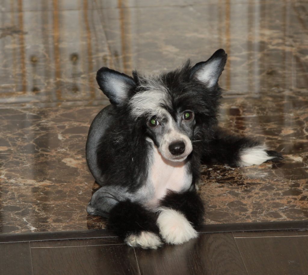 Premier Mari Tempo De Vitorias