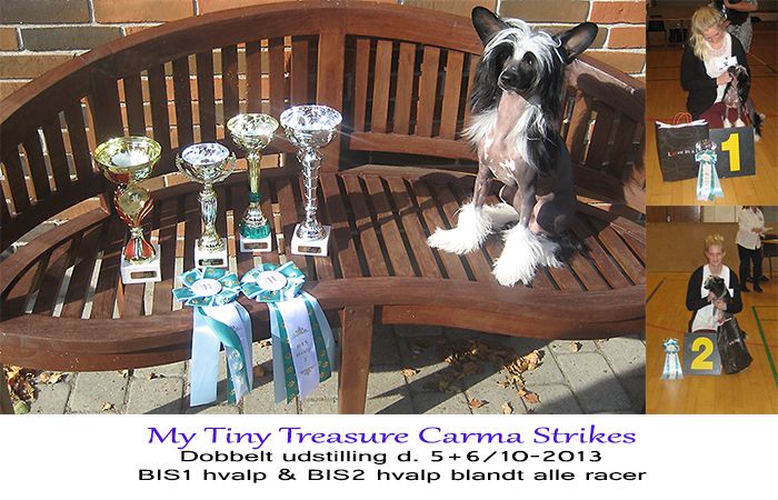 My Tiny Treasure Carma Strikes