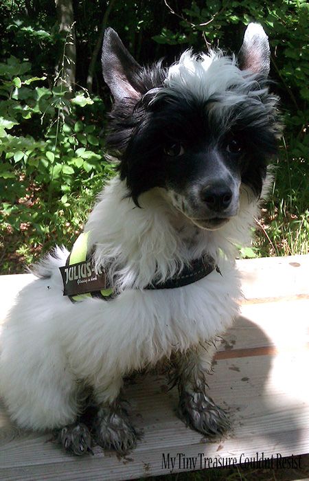 My Tiny Treasure Couldnt Resist