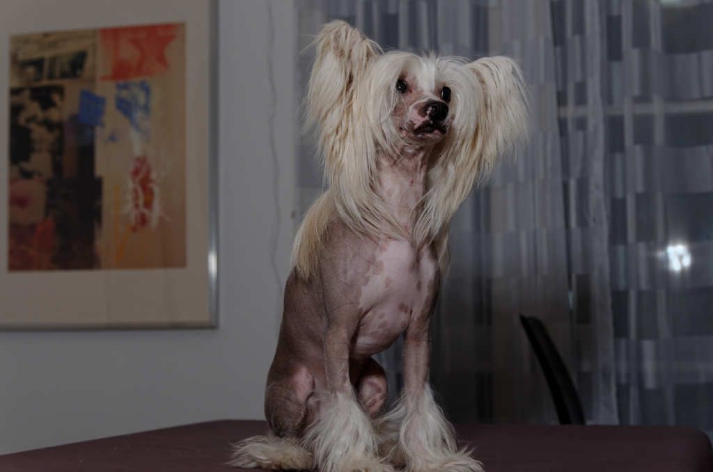 Hito Du Coeur Des Tenebres