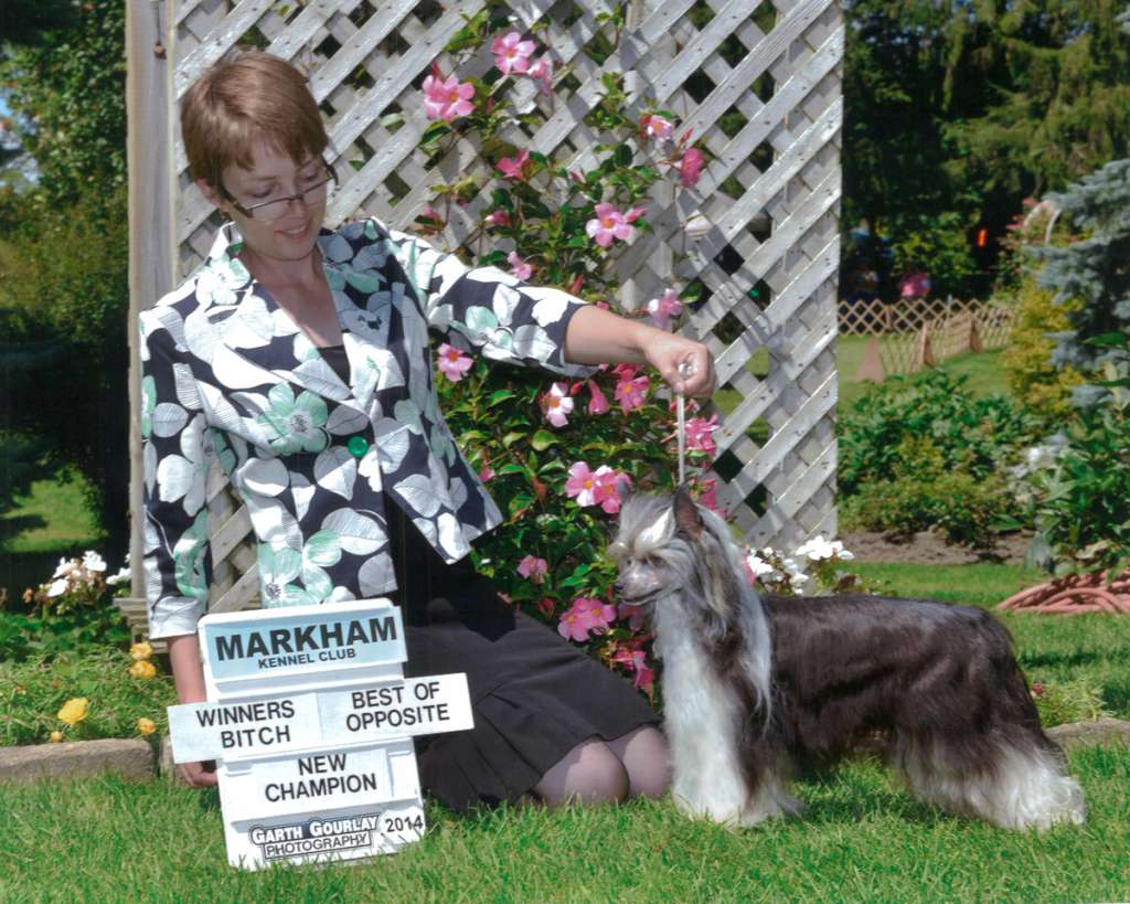 Curlious That's How I Roll