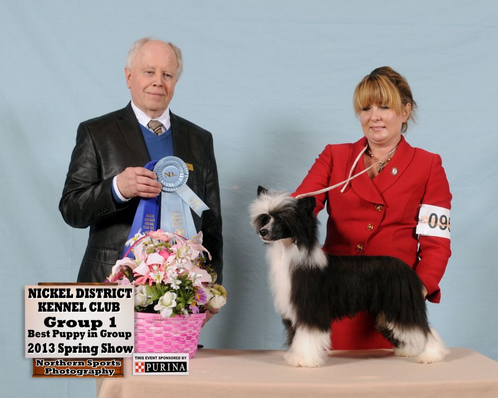 The Quarterback N'Co