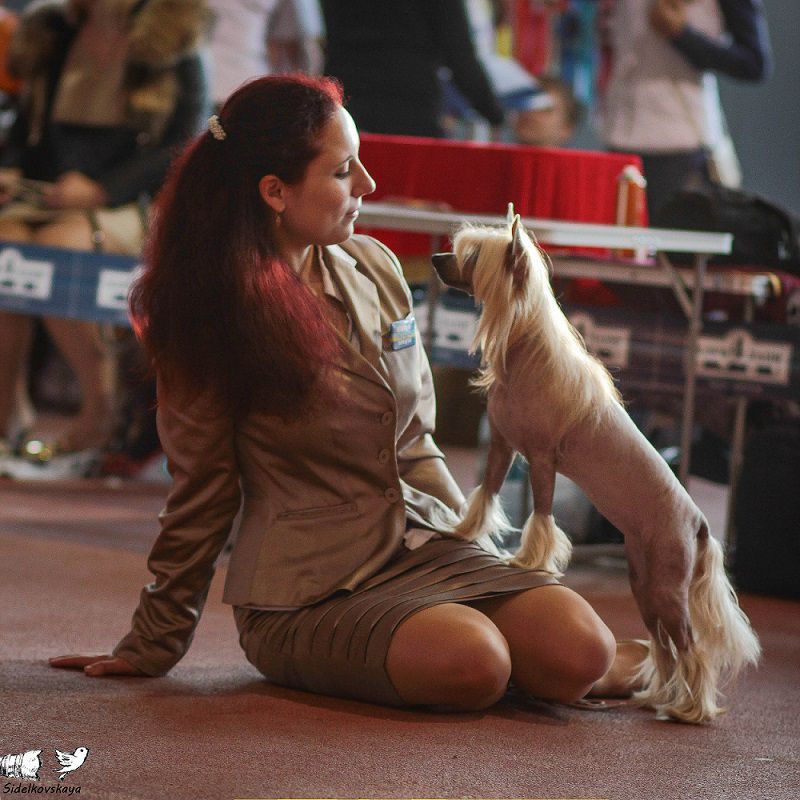 Zheneva-Debjut Ispahan