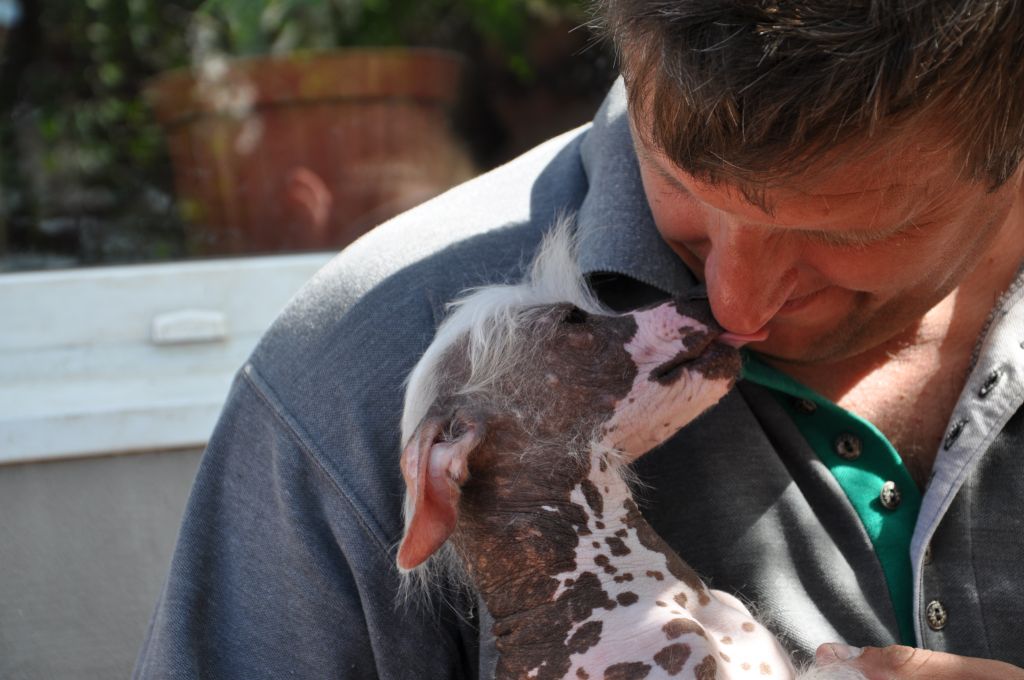 El-riko Voyager Dolce Dea Apriori