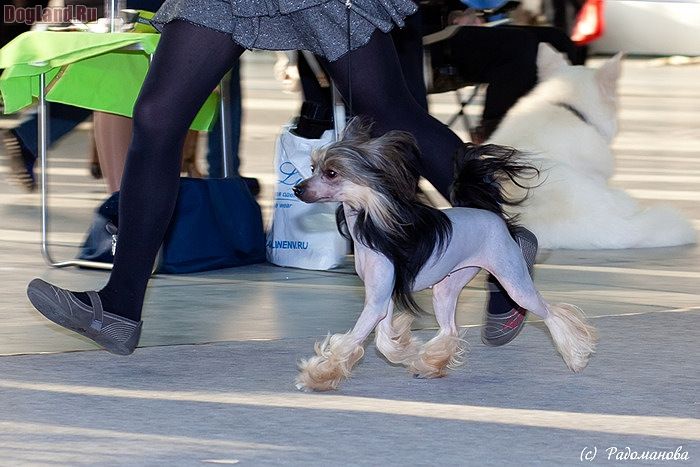 Rus Foreva Yunaya Boginya