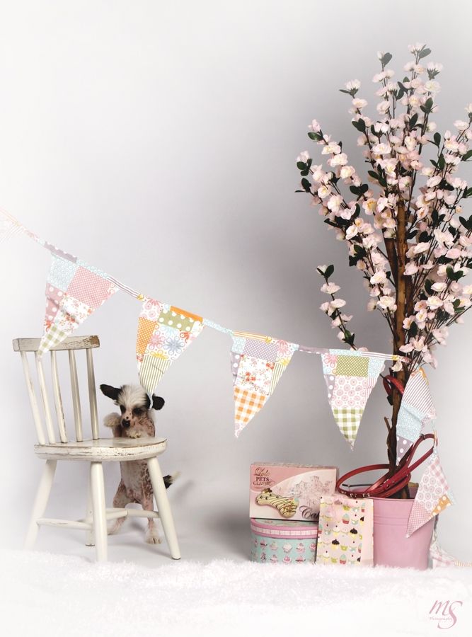 Bellatrix Luckycharm Super Star