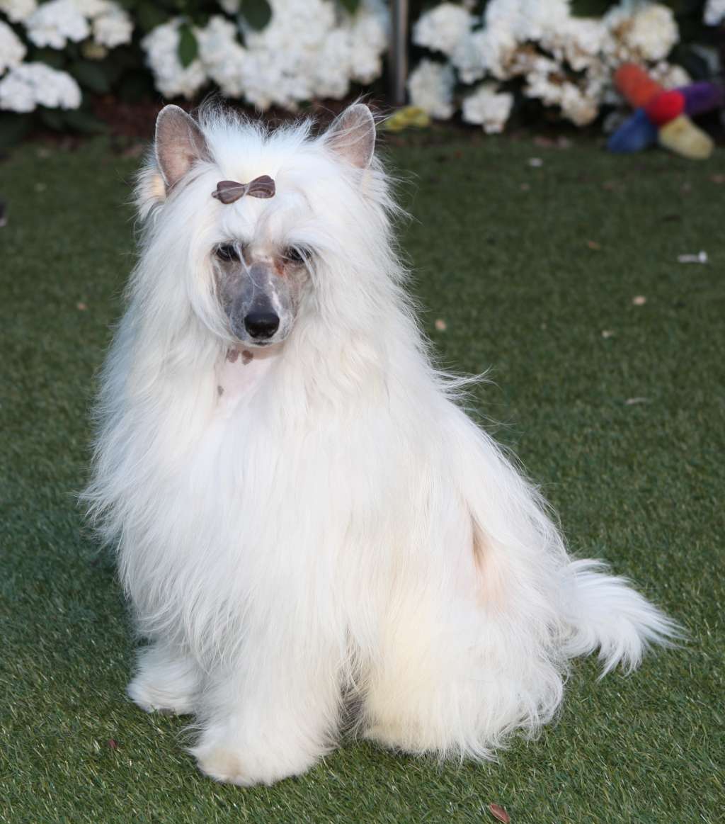 Macneill  From China with love