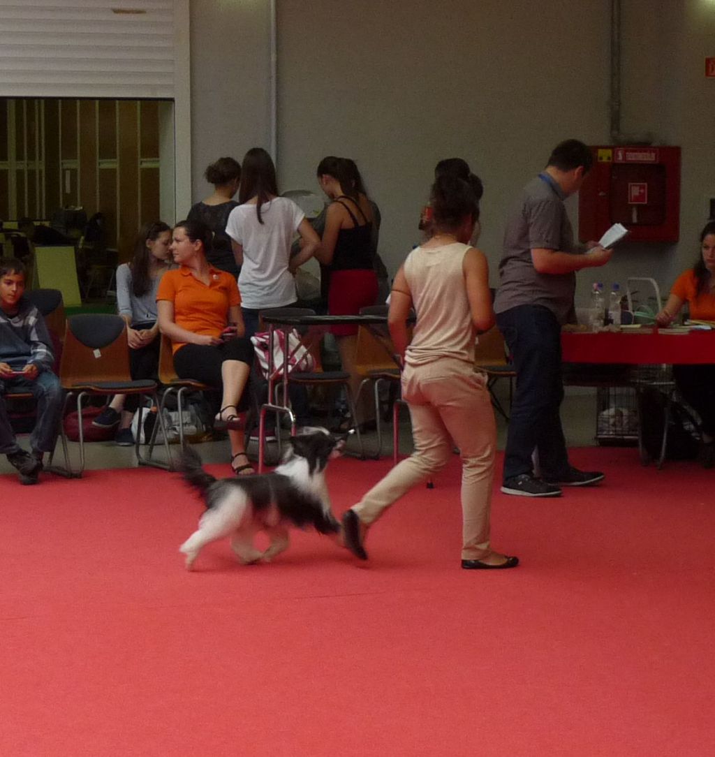 Fundoklia-völgyi Kaszanics Raffaello