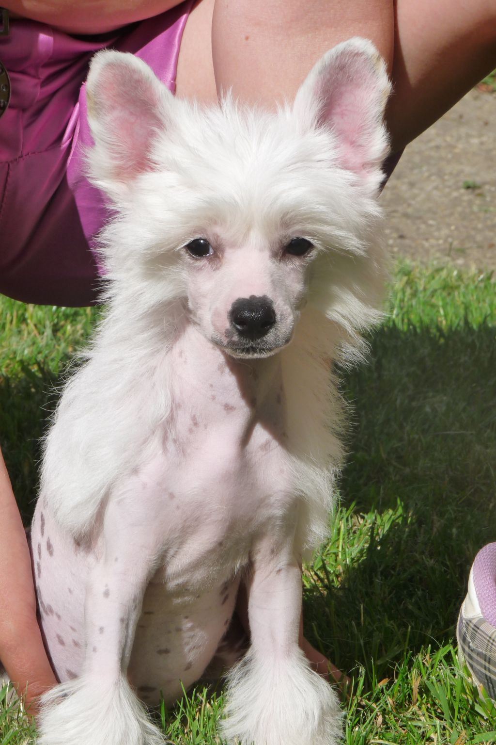 Fundoklia-völgyi Kaszanics Roderic