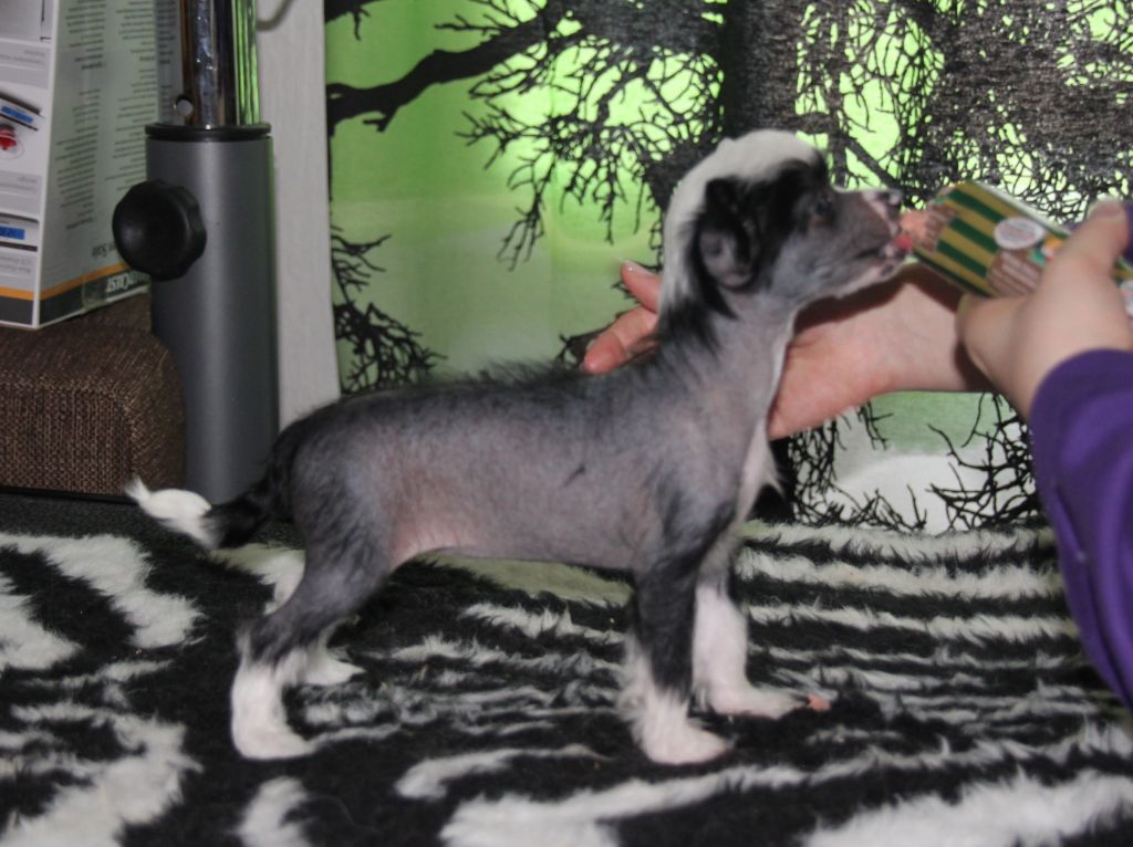 Selfcresteem's Oh Hell Yeah