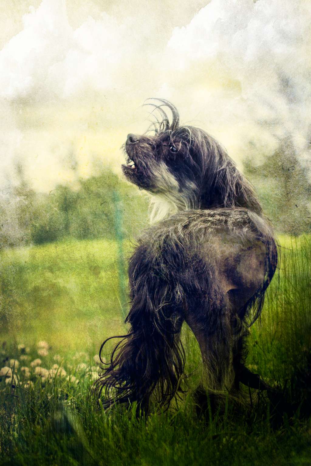 Dare to be Dubstep Queen